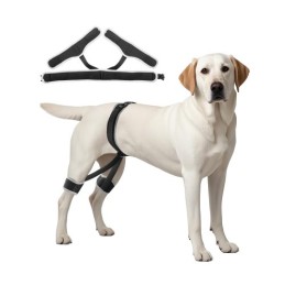 Dog Hip Support Brace Pet Hip Dysplasia Brace Harness Joint Pain Relief