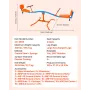 Kids Seesaw, 136 kg Load Capacity, Sit and Spin Teeter Totter with Easy-Grip Handles, Kids Outdoor Playground Equipment, Outside