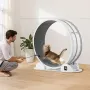 Cat Exercise Wheel with Pedometer, 40.8 in, Cat Running Wheel with Brake & Carpeted Runway, Quiet Cat Treadmill for Indoor Cats 