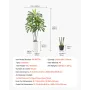 Artificial Dracaena Tree 1829 mm, Fake Palm Tropical Plants with White Tall Planter, Faux Floor Silk Plant in Pot, Large Trees f