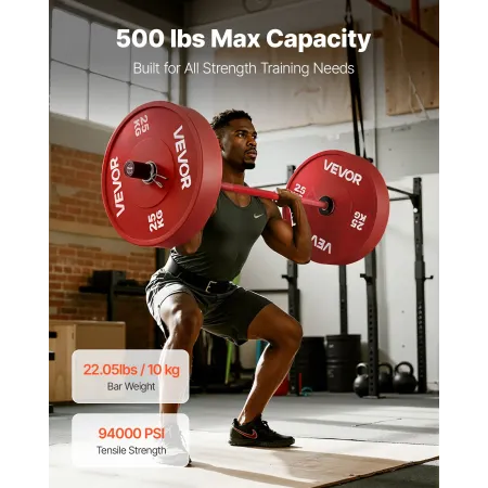 VEVOR 120 cm vægtstang, Fit 2-tommer vægtskiver, vægtstang med riflet greb til styrketræning, vægtløftning, squat, de
