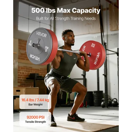 VEVOR 4FT Barbell Bar, Fits 2-Inch Weight Plates, Chrome Plated Barbell Bar with Knurled Grip for Strength Training, Weightlifti