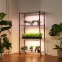 Plantehylde med Grow Light, 4-trins indendørs plantestativ, 150