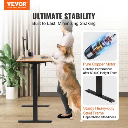 Height Adjustable Desk, 140 x 70.1 cm, 3-Key Modes Electric Standing Desk, Whole Piece Desk Board, Sturdy Dual Metal Frame, Max.