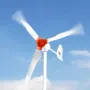 24V 1000W Solar Wind Power Kit, 6STK 100W Monokrystallinsk