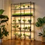 Plant Shelf with Grow Light, 6-Tier Double-Row Plant Stand, 180cm Tall Indoor Plants Display Rack with Wheels & Timer, 200W Full