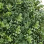 Artificial Topiary Boxwood Trees with Ground Spike, 2 Set 559mm Faux Shrubs & Bushes Potted Plants, Fake Silk Tree Look Real for