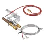 Gas Pilot Assembly, OE 103779-01, PP231, NG8218 Udskiftning af