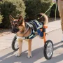 VEVOR Dog Wheelchair for Back Legs, Lightweight 2 Wheels Pet Wheelchair, Height, Width & Length Adjustable, Dog Cart with Shock-