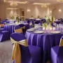 50 Pcs Purple Chair Covers, Polyester Spandex Chair Cover, Stretch Slipcovers for Wedding Party Dining Banquet Flat-Front Chair 