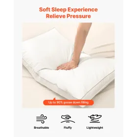 VEVOR Bed Pillows for Sleeping, Set of 2, King Size Luxury Quality Hotel Pillows with Original Down Alternative Filling, Support