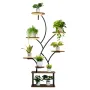 Plant Stand Indoor with Grow Lights, 157.5cm Tall 8-Tier Lighted Plant Shelf, Metal Corner Plants Holder, 3 Timer & 10 Brightnes