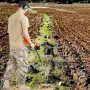 Metaldetektor til voksne og børn, 8 tommer vandtæt søgespole