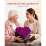 VEVOR Forever Flowers, 27 Preserved Roses in Heart Shape Box, Eternal Flowers Immortal Bouquet Birthday Present for Women Her Wi
