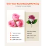Forever Flowers, 50 Preserved Roses in a Box, Eternal Flowers Immortal Bouquet Birthday Present for Delivery Prime Women Her Wif
