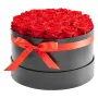 Forever Flowers, 27 Preserved Roses in a Box, Eternal Flowers Immortal Bouquet Birthday Present for Delivery Prime Women Her Wif