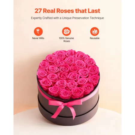 Forever Flowers, 27 Preserved Roses in a Box, Eternal Flowers Immortal Bouquet Birthday Present for Delivery Prime Women Her Wif