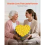 Forever Flowers, 27 konserverede roser i en hjerteformet æske