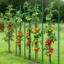 VEVOR Garden Stakes, 25 Pack, 1800 mm, Plastic Coated Metal Tomato Stakes, Garden Sticks for Plants Support, with Pointed End an