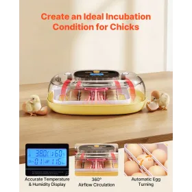 VEVOR 24 Egg Incubator, Automatic Egg Turner with LED Candler, Temperature & Humidity Control, 360° View Clear Window, Auto Wate