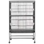 VEVOR Bird Cage, 800 x 520 x 1320mm, Flat Top, Wrought Iron Bird Flight Cage with Perches, Slide-Out Tray and Plastic Feeders, C