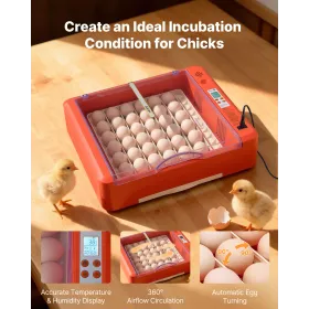 36 Egg Incubator, Automatic Egg Turner with LED Candler & Water Tray, Temperature & Humidity Control, 360° View Clear Window, Po