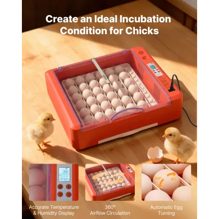 36 Egg Incubator, Automatic Egg Turner with LED Candler & Water Tray, Temperature & Humidity Control, 360° View Clear Window, Po