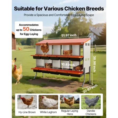 Chicken Nesting Boxes, 10 Compartments, with Support Legs, Easy Egg Collection, Galvanized Steel and High-Strength Plastic, Roll