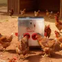 Automatic Chicken Feeder, 11.34 kg Capacity, 6 Feeding Ports No-Waste Poultry Feeder, Automatic Gravity, with Handle Latch Lid, 