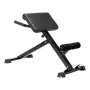 Roman Chair Hyperextension Bench, 250 lbs Adjustable & Foldable Extension Machine, Multi-Function Exercise Equipment for Glute, 