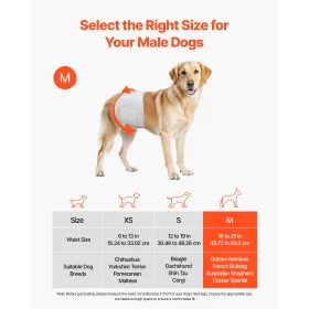 engangsbleer til hanhunde, superabsorberende omslag til