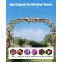Garden Arbor, 2,4 (H) x 2,5 (B) x 0,4 (D) m metalbuegang