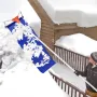 Snow Roof Rake, 27cm Aluminum Blade, 1.25-5.24 m Adjustable Roof Snow Scraper with Wheels & Slide, Lightweight Snows Removal Too