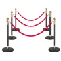 Stanchion Post, 6 Pcs Crowd Control Barrier Set with Red Carpet, 4 Red Velvet Ropes, Stainless Steel Gold Stanchion Post Queue w
