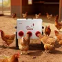 Automatic Chicken Feeder, 13.61 kg Capacity, 6 Feeding Ports No-Waste Poultry Feeder, Automatic Gravity, with Adjustable Height 