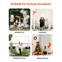 Arch Backdrop Stand, 2,4 x 2,4 m, stabil struktur, nem