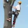 VEVOR Tree Climbing Spikes Set, Height-Adjustable Tree Climbing Gear with Straps & Spike Protectors, 159 kg Load Capacity, Durab