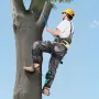 VEVOR Tree Climbing Spikes Set, Height-Adjustable Tree Climbing Gear with Straps & Spike Protectors, 159 kg Load Capacity, Heavy