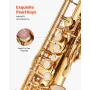 Tenor Saxophone, B Flat, Professional Brass Saxophone Beginner Kit with Carrying Case, Mouthpiece, Straps, Cleaning Cloth, Glove