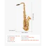 Tenor Saxophone, B Flat, Professional Brass Saxophone Beginner Kit with Carrying Case, Mouthpiece, Straps, Cleaning Cloth, Glove
