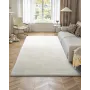 indoor-plush-area-rugs-244-x-305m