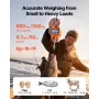 digital kranvægt, 660 lbs/300 kg maks. 