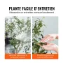 Artificial Olive Tree, 1.8 m Tall Faux Plant, Secure PE Material & Anti-Tip Tilt Protection Low-Maintenance Plant, Lifelike Gree