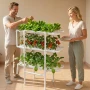 Hydroponics-dyrkningssystemsæt, 3-trins 108-pladser UPVC Pipe