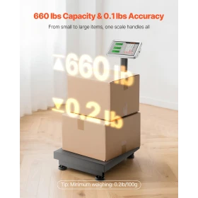 Computing Digital platformsvægt, 300 kg belastning, 50 g høj
