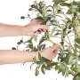 Kunstigt oliventræ, 1,5 m høj kunstig plante, sikkert