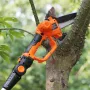 2-i-1 trådløs stangsav & mini-motorsav, 20V 2AH Battery Pole
