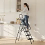 5 Step Ladder