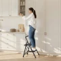 2 Step Ladder