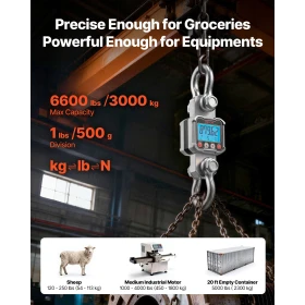 Digital Crane Scale,3000 kg Max